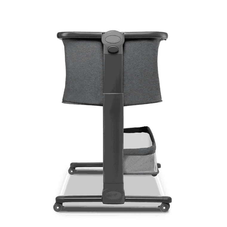 Lionelo, Timon, patut suplimentar, graphite