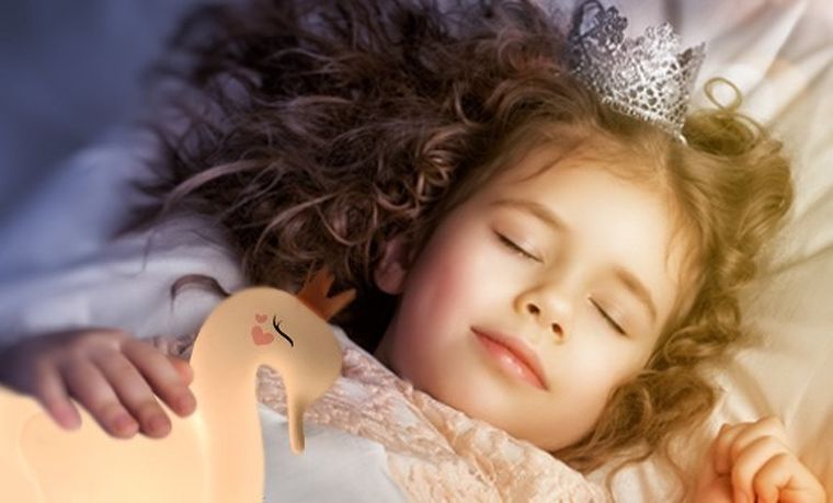 InnoGIO, GIOprincess, veioza din silicon