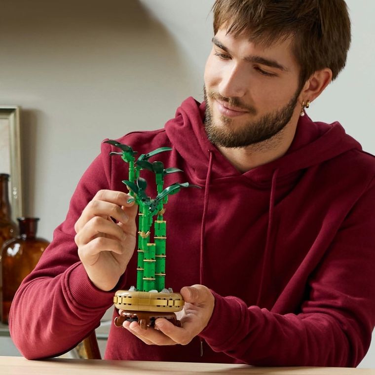 LEGO Botanicals, Bambus norocos, 10344