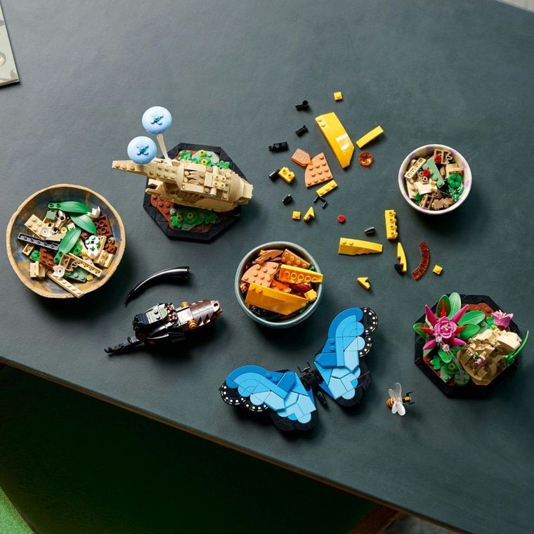 LEGO Ideas, Colectia de insecte, 21342