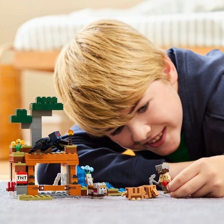 LEGO Minecraft, Expeditia de minerit cu Tatu, 21269