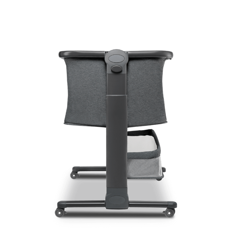 Lionelo, Timon, patut suplimentar, graphite