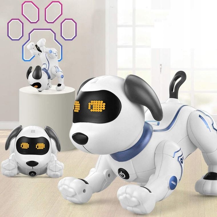 Tech-Bot, Catel, robot cu telecomanda
