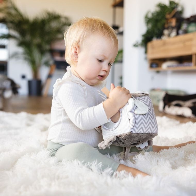 BabyOno, Koala Coco, cub senzorial