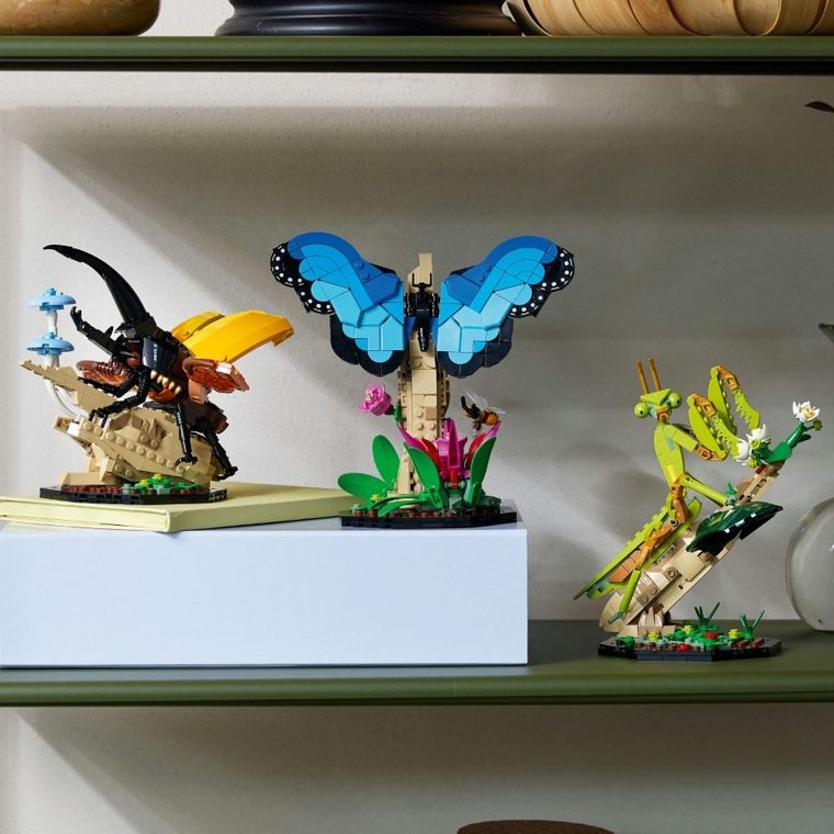 LEGO Ideas, Colectia de insecte, 21342