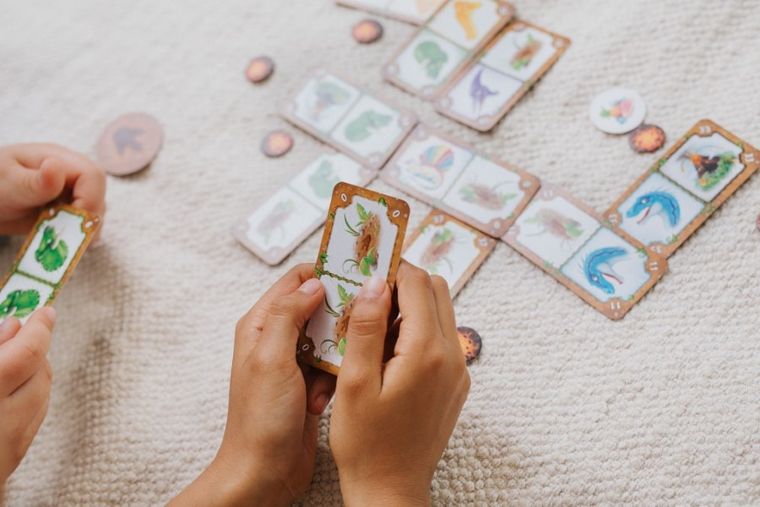 Trefl, Dinogang, joc