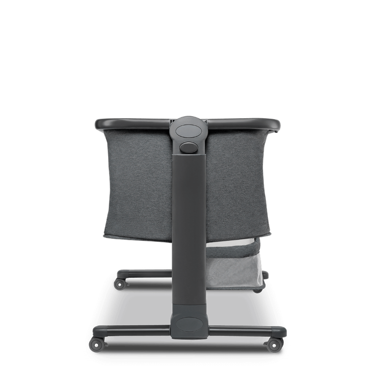 Lionelo, Timon, patut suplimentar, graphite