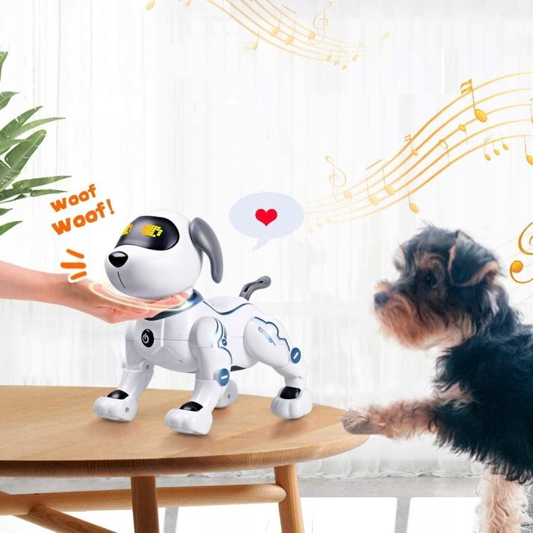 Tech-Bot, Catel, robot cu telecomanda