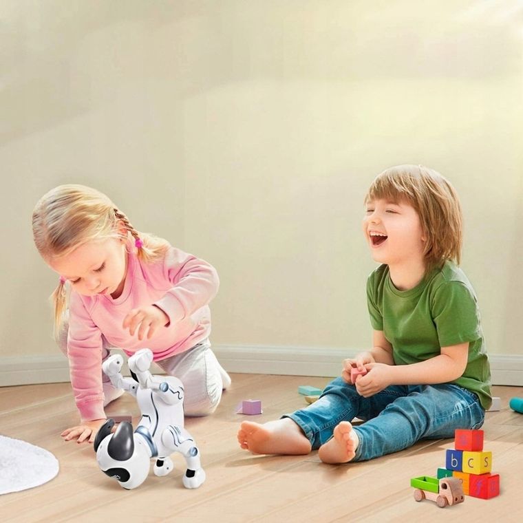 Tech-Bot, Catel, robot cu telecomanda