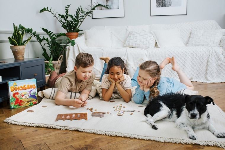 Trefl, Dinogang, joc