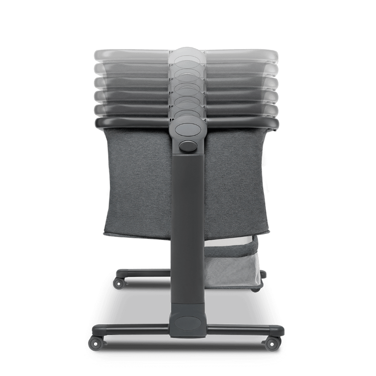 Lionelo, Timon, patut suplimentar, graphite