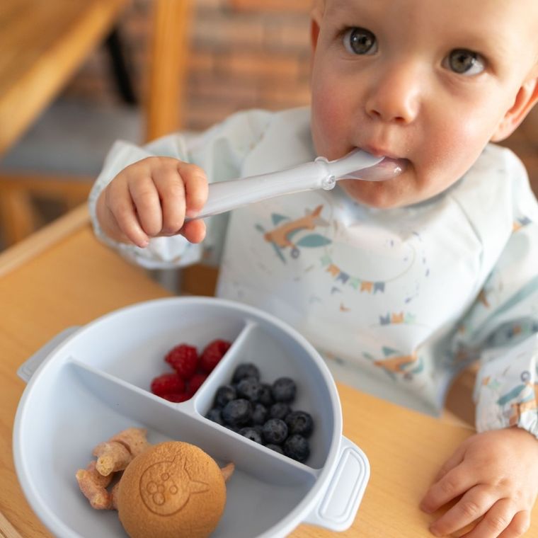 BabyOno, farfurie din silicon cu ventuza si capac, albastru