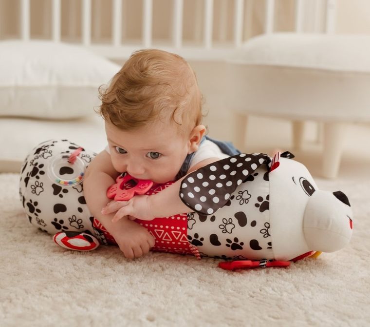 Balibazoo, Catelusul Pedro, jucarie de plus senzoriala cu forma cilindrica