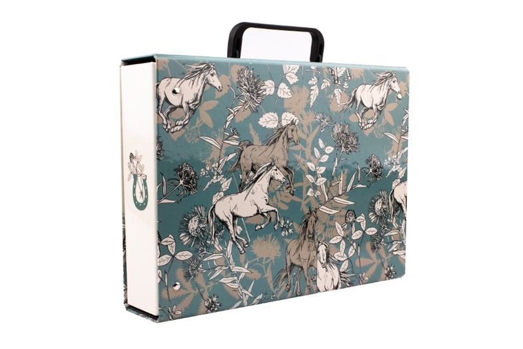 Beniamin, dosar cu maner, Nice&Pretty, 1 buc.