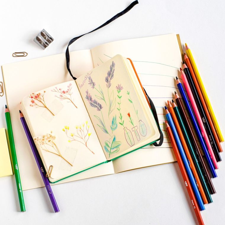 Bic, Color Up, creioane, 12 culori