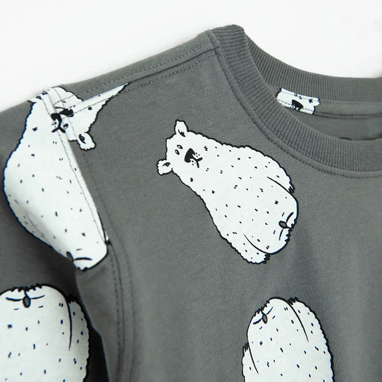 Cool Club, Bluza cu maneca lunga pentru baieti, gri