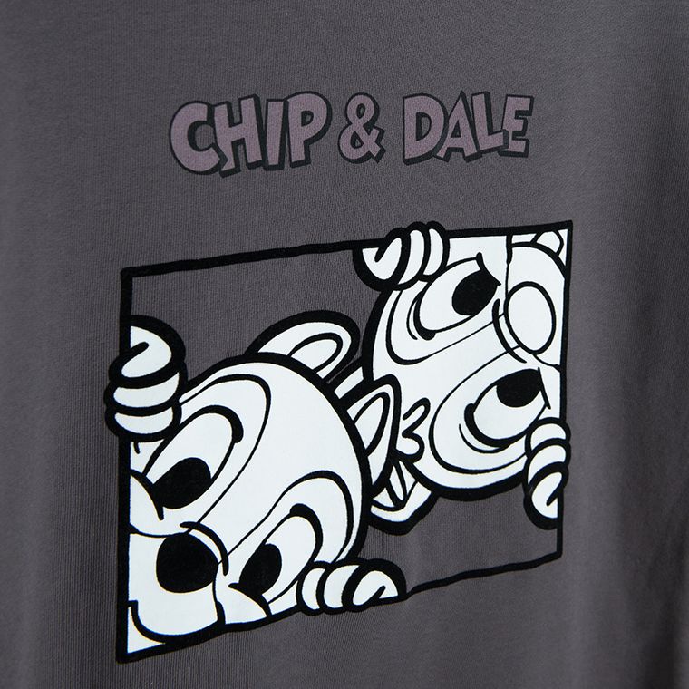 Cool Club, Bluza pentru fete, granit, imprimeu Chip & Dale