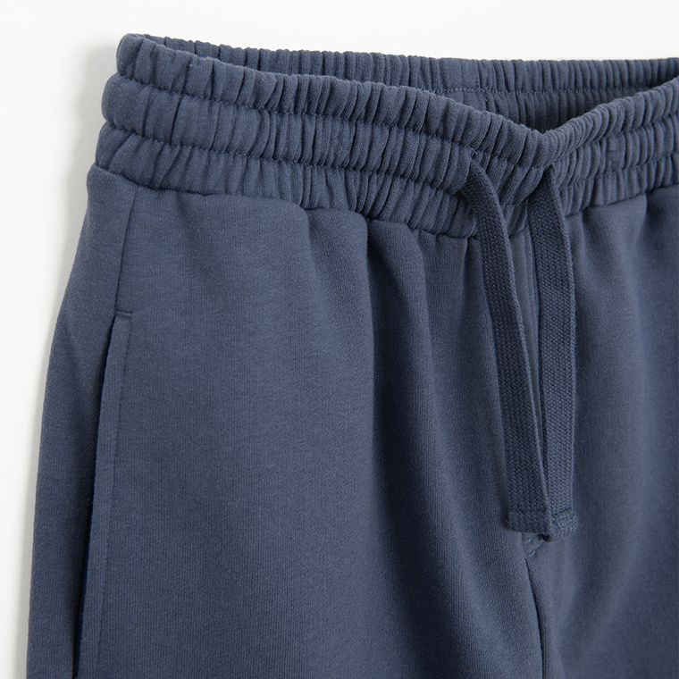 Cool Club, Pantaloni trening pentru baieti, oversize, albastru, imprimeu Brawl Starss