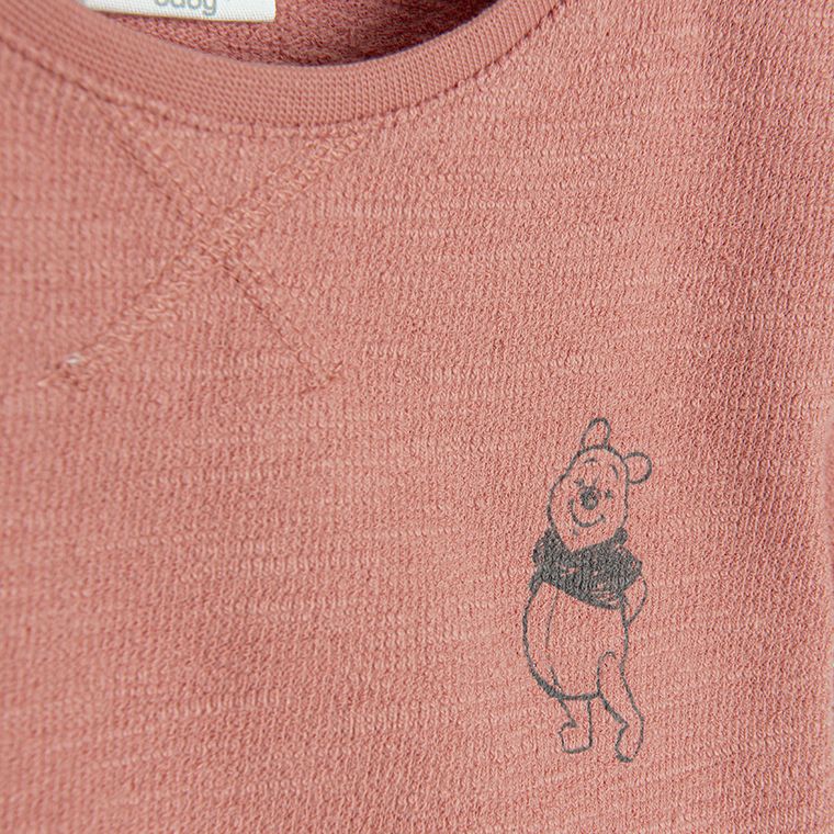 Cool Club, Tricou pentru baieti, caramiziu, imprimeu Winnie the Pooh