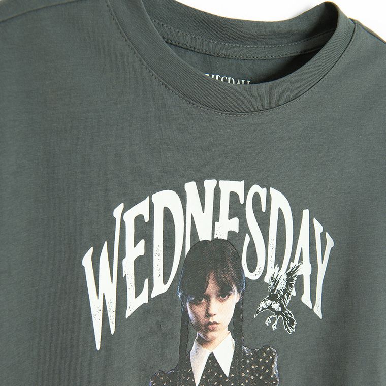 Cool Club, Tricou pentru fete, crop top, gri, Wednesday