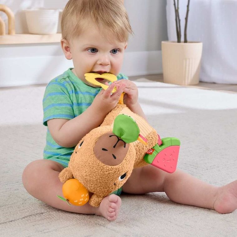 Fisher-Price, Animalut de plus senzorial Capibara, jucarie pentru bebelusi
