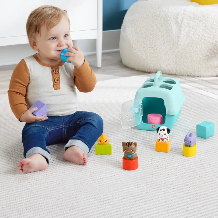 Fisher-Price, Pets, Transporter, jucarie de potrivire a formelor pentru bebelusi