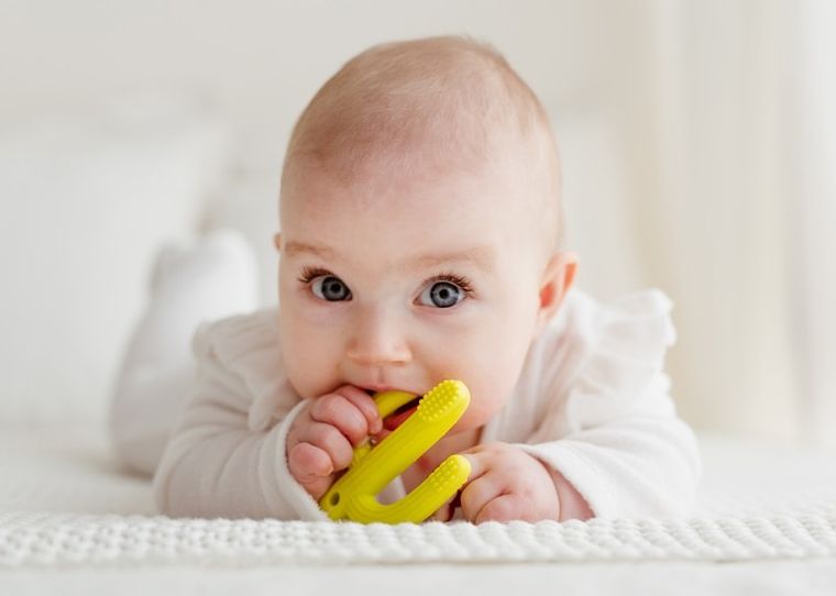 GiliGums, Cactus, jucarie dentitie din silicon, verde