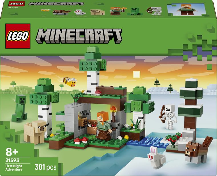 LEGO Minecraft, Prima aventura pe timp de noapte, 21593