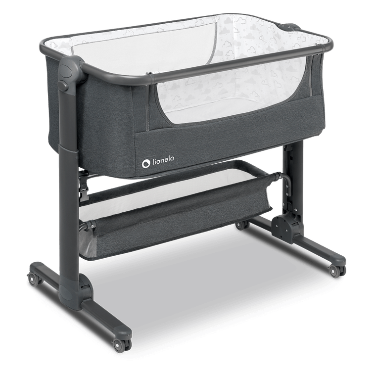 Lionelo, Timon, patut suplimentar, graphite