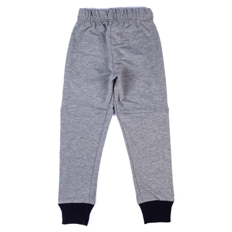 Pantaloni trening pentru baieti, gri, Tup Tup