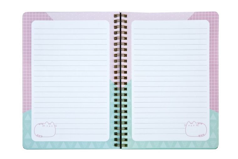 Pusheen, carnetel A5, dictando