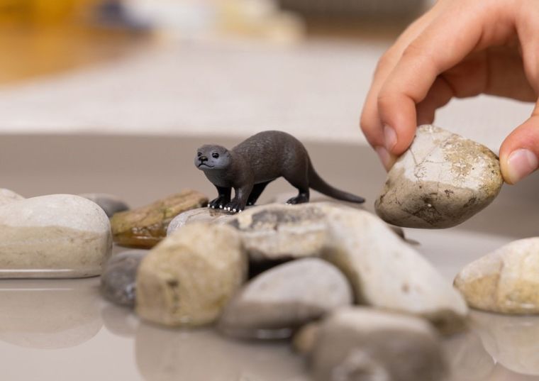 Schleich, Wild Life, Vidra, figurina, 14865