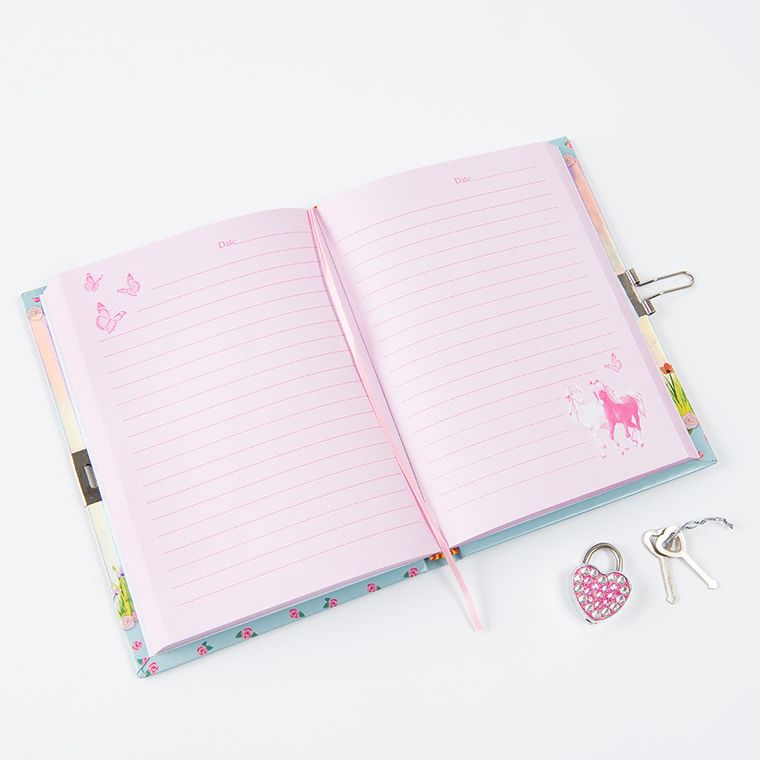 Smiki, Cai, jurnal cu lacat