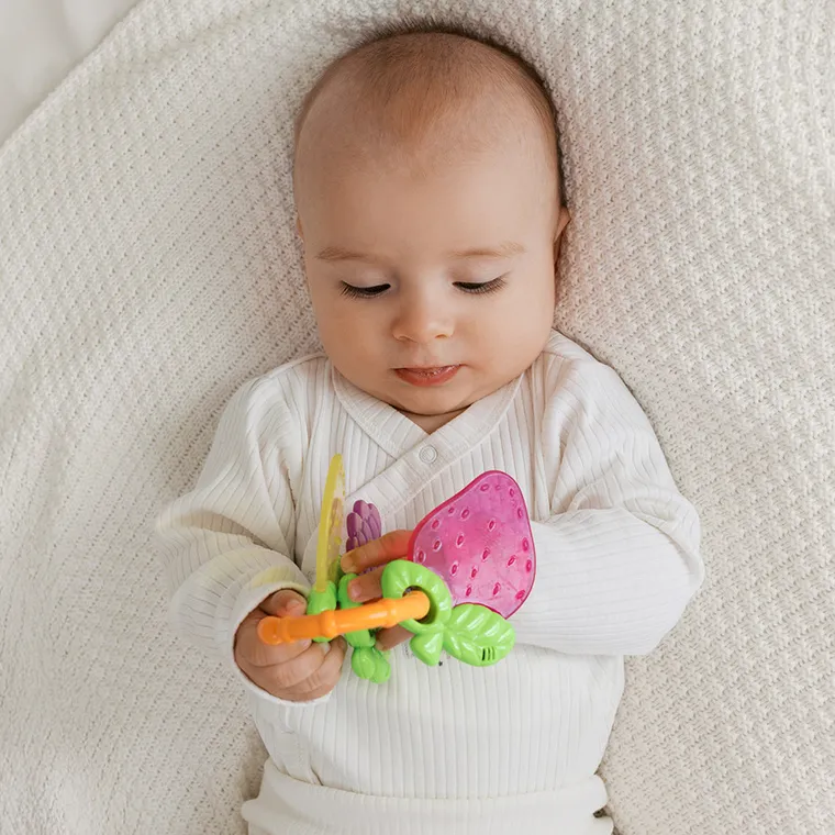 Smiki, Fructe, jucarie de dentitie