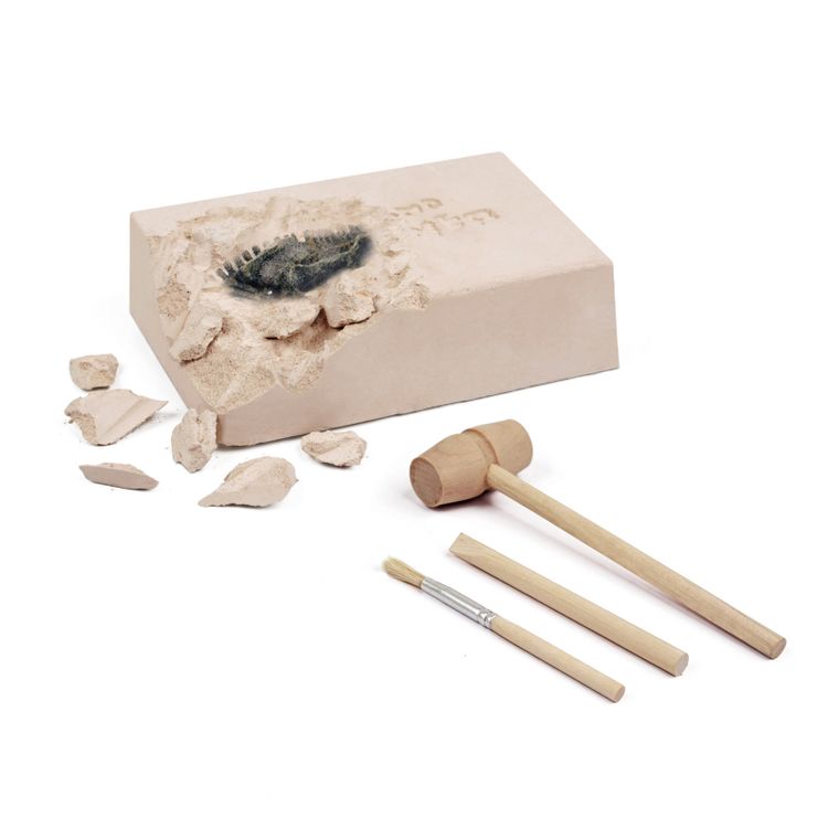 Smiki, Kit excavare, schelet de dinozaur, set de stiinta