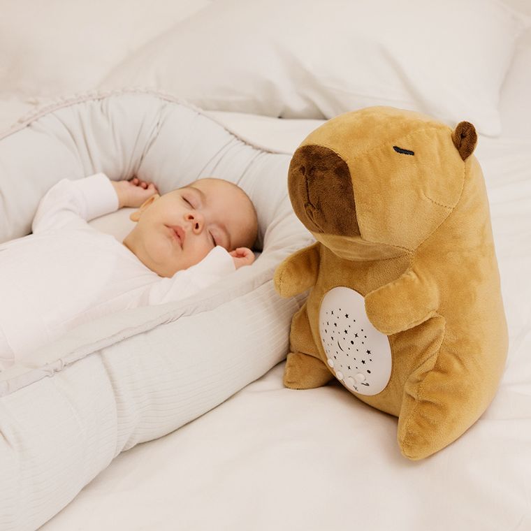 Smiki, Little Dreamer, Capibara, proiector de stele din plus