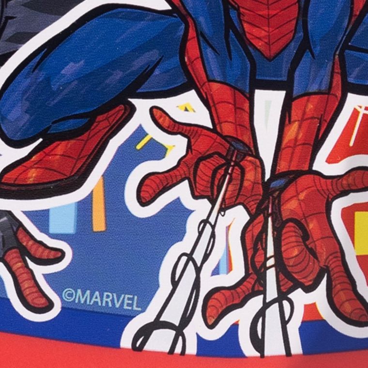 Spider-Man, cutie pentru pranz Urban
