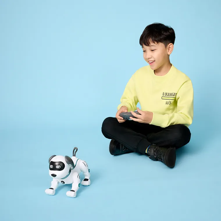 Tech-Bot, Catel, robot cu telecomanda