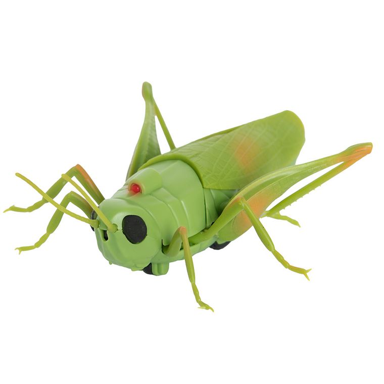 Tech-Bot Nature, lacusta cu telecomanda