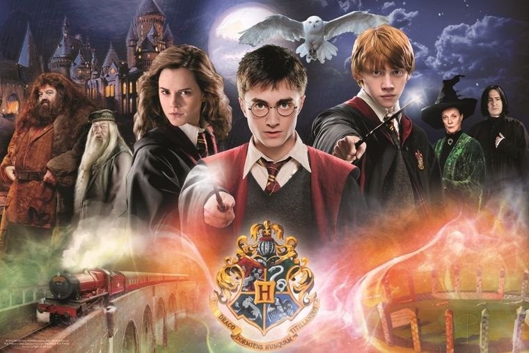 Trefl, Harry Potter, Secret, puzzle, 300 piese
