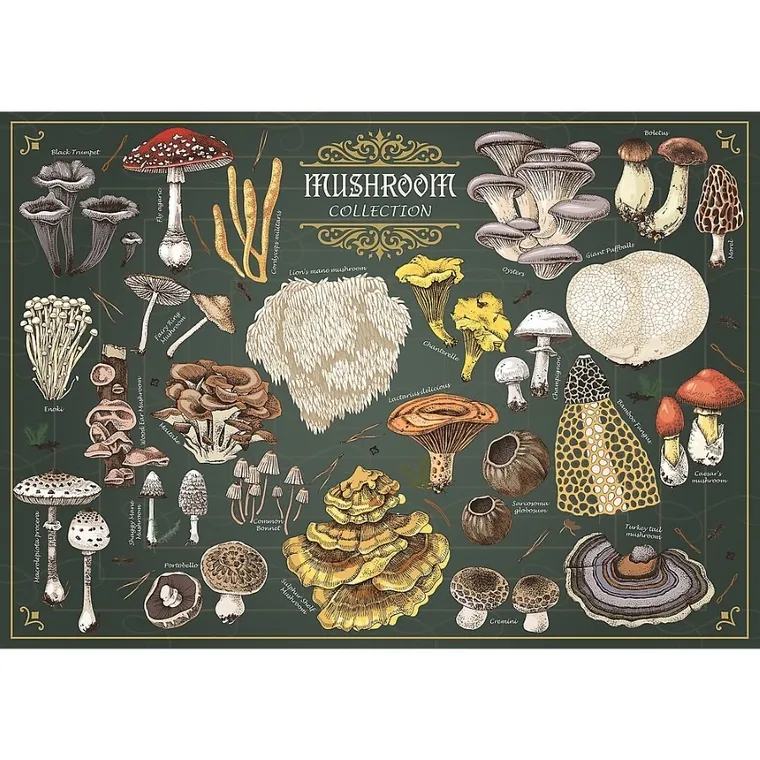 Trefl, Premium Plus, Finders Keepers, Mushroom Collection, puzzle, 500 piese