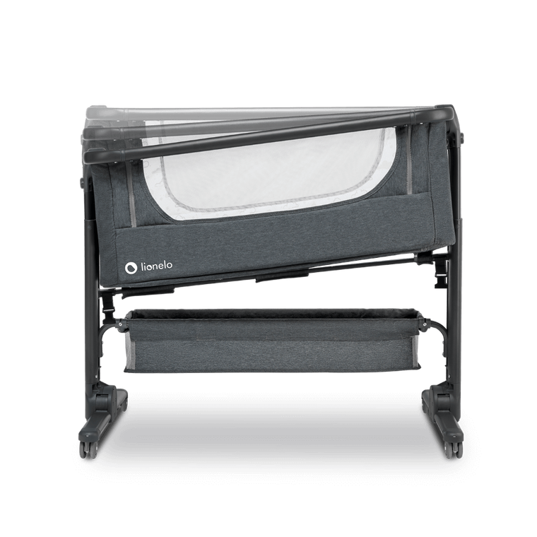 Lionelo, Timon, patut suplimentar, graphite