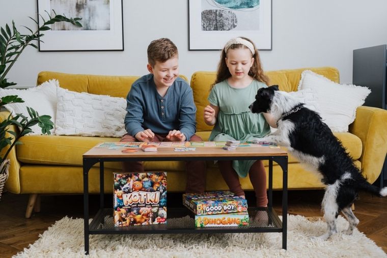 Trefl, Dinogang, joc