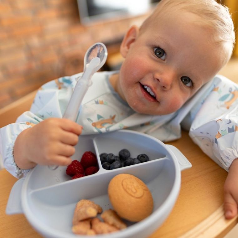 BabyOno, farfurie din silicon cu ventuza si capac, albastru