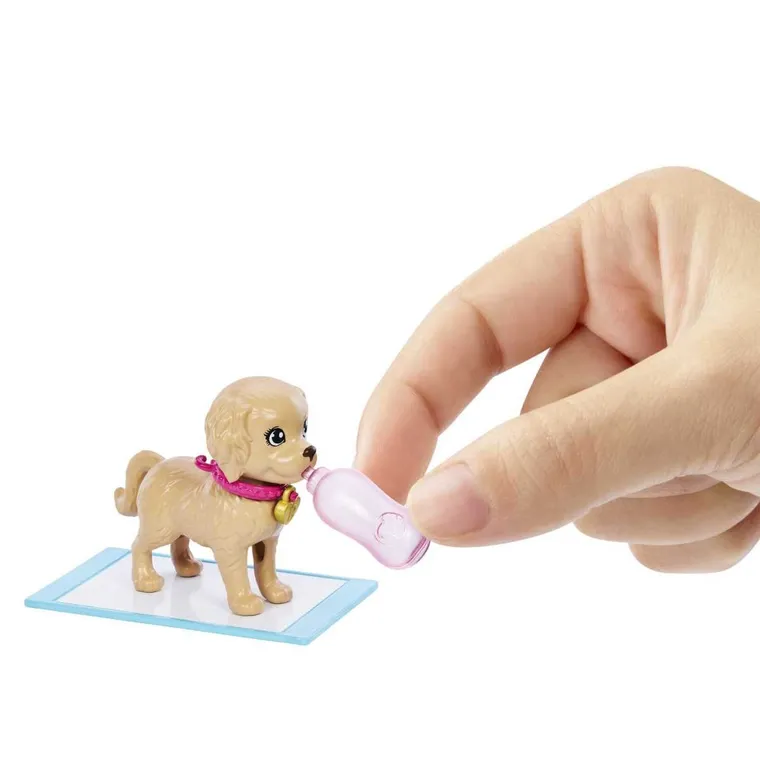 Barbie, Adoptia puilor, set cu papusa si accesorii