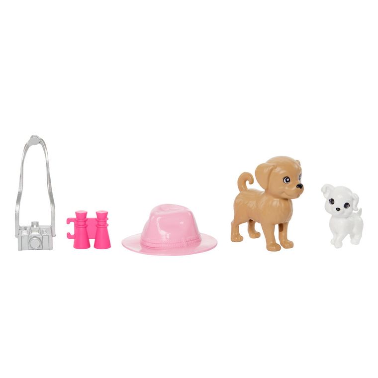 Barbie, Stacie si Barbie, set de 2 papusi cu accesorii