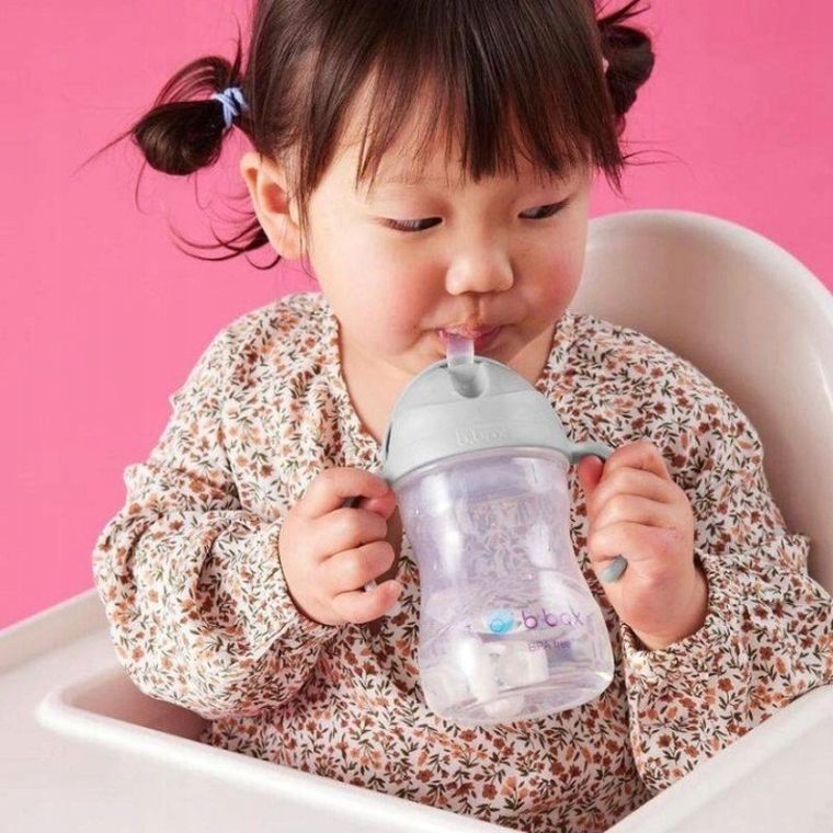 B.Box, bidon cu pai, de culoare gri, 240 ml