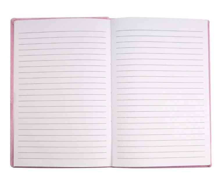 Beniamin, Lilo si Stitch, caiet de plus, A5, 80 foi, cu linie, roz