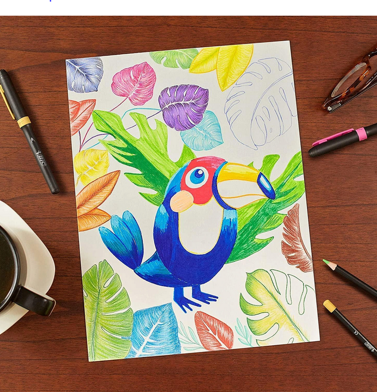 Bic, Intensity Premium, creioane colorate, 24 culori