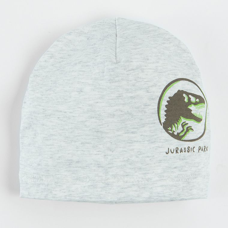 Cool Club, Caciula pentru baieti, gri, verde, imprimeu Jurassic World, set, 2 buc.
